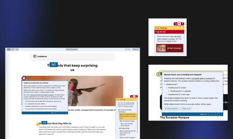 Editoria11y Accessibility Checker functions