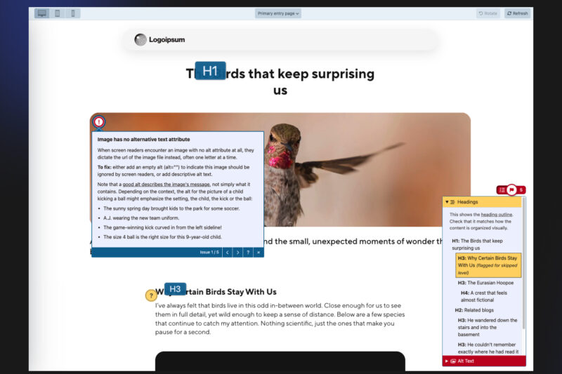 Editoria11y Accessibility Checker functions