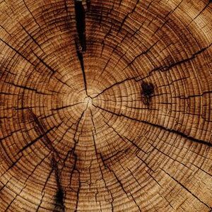 Woodlet hout 87ed1d8ea2ae1690677101820f07f2a7