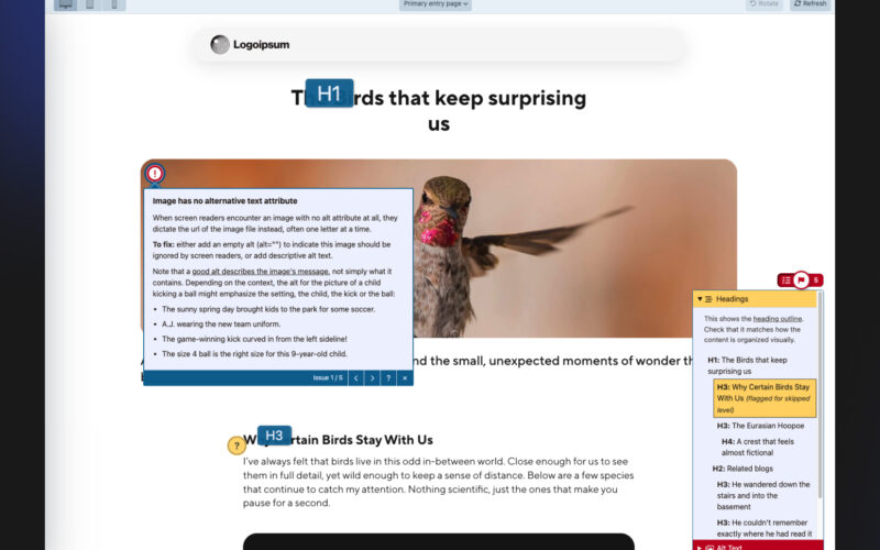 Editoria11y Accessibility Checker functions