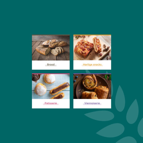 Visual Diversi Foods b